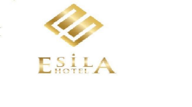 艾斯拉酒店 安卡拉 商标 照片